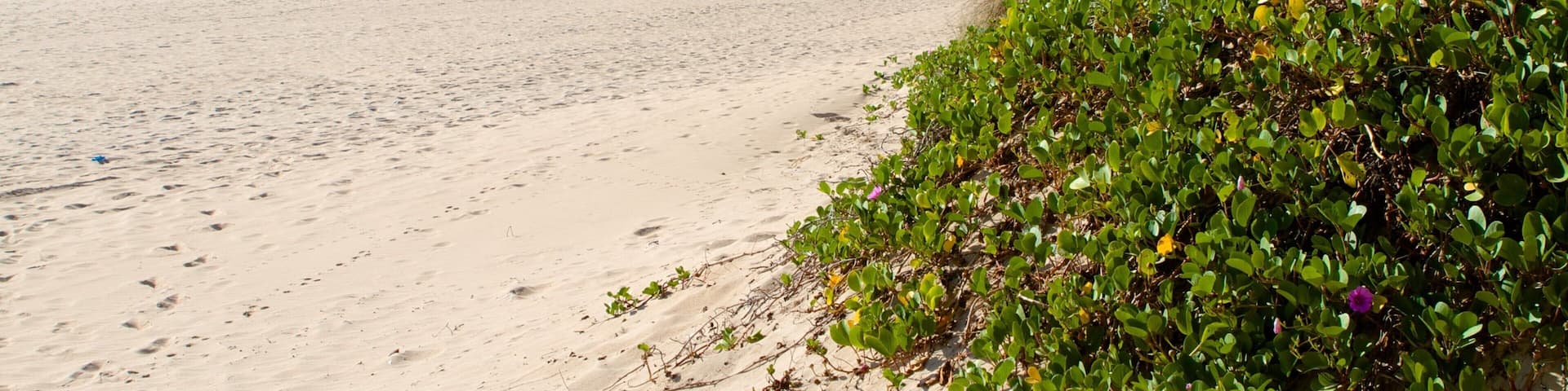 King\'s Beach showing a beach and general coastal views