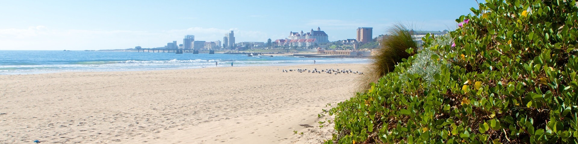 King\'s Beach showing a beach and general coastal views