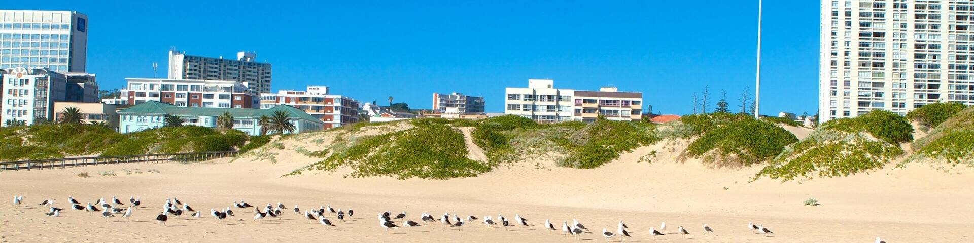 A sandy beach with seagulls, a clear blue sky, and buildings in the background.