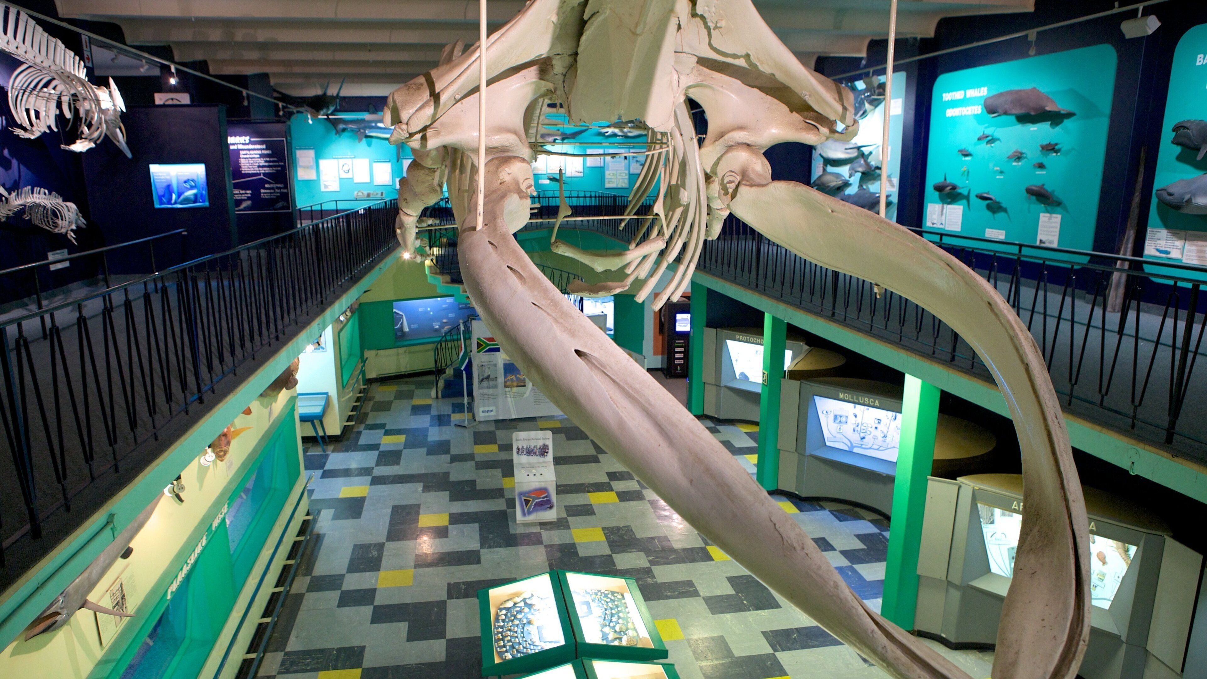 Bayworld mettant en vedette art et vues intérieures