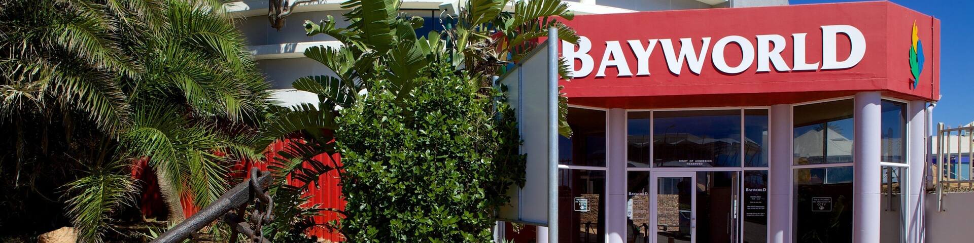 Bayworld featuring outdoor art, a city and art