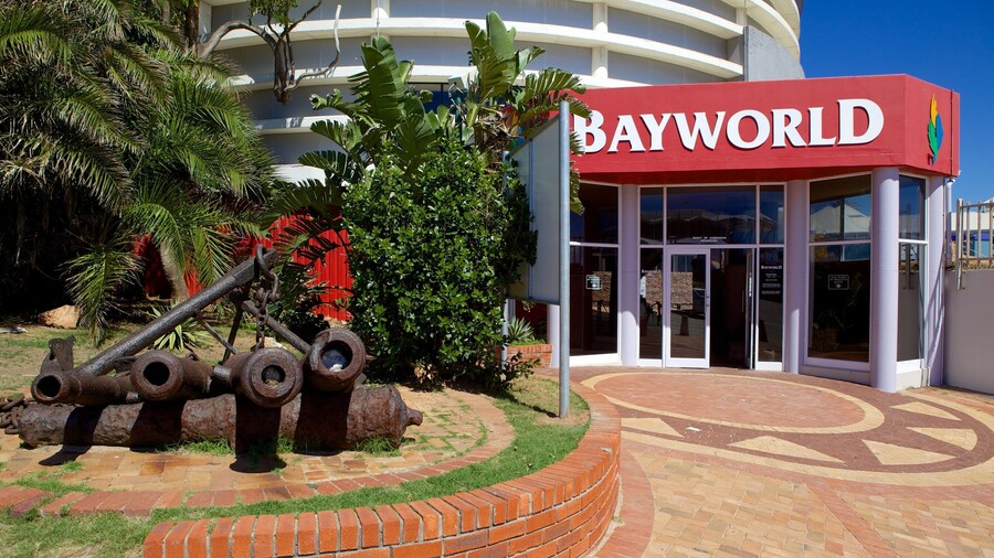 Bayworld featuring outdoor art, a city and art