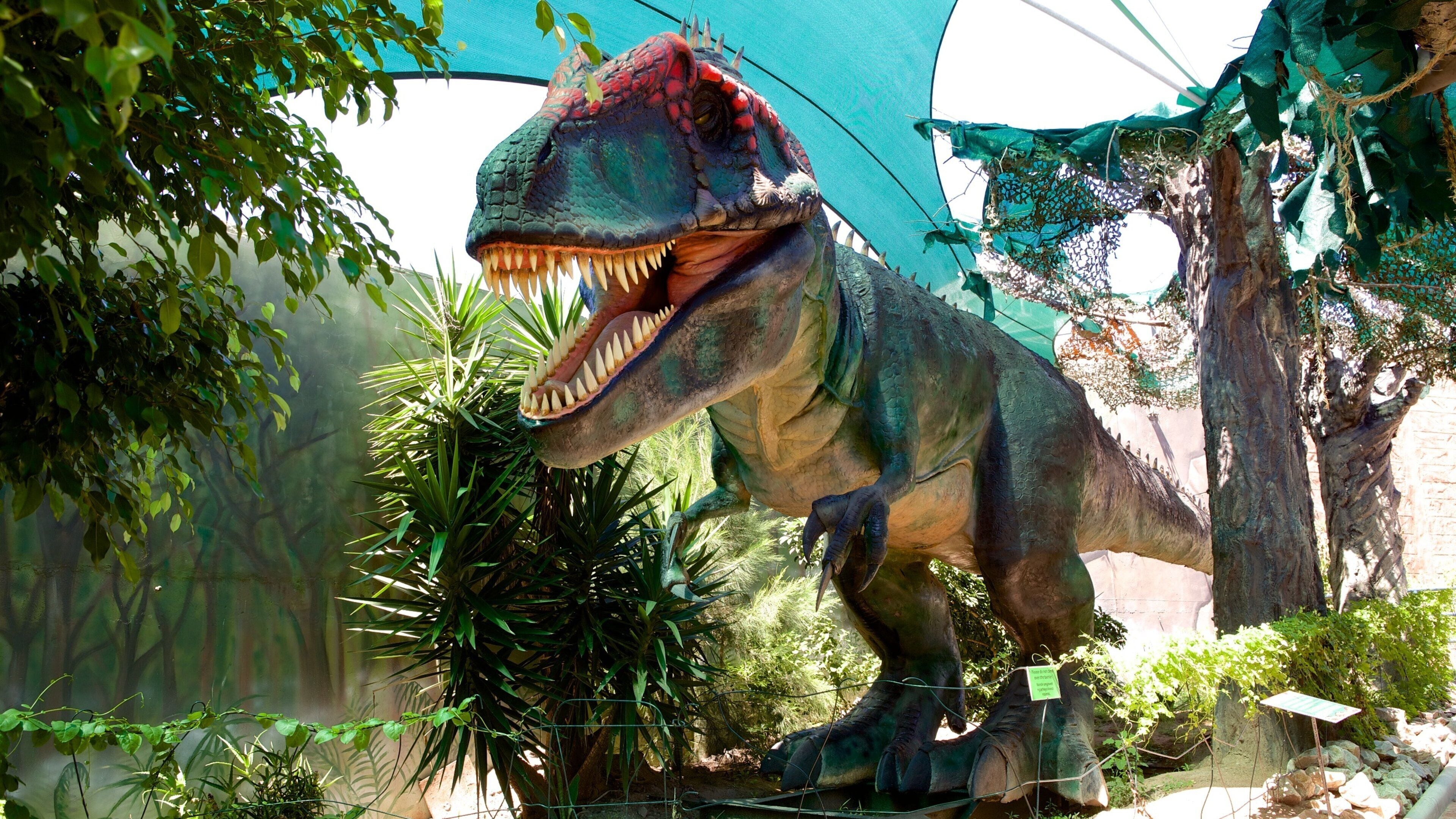 Bayworld featuring outdoor art and art