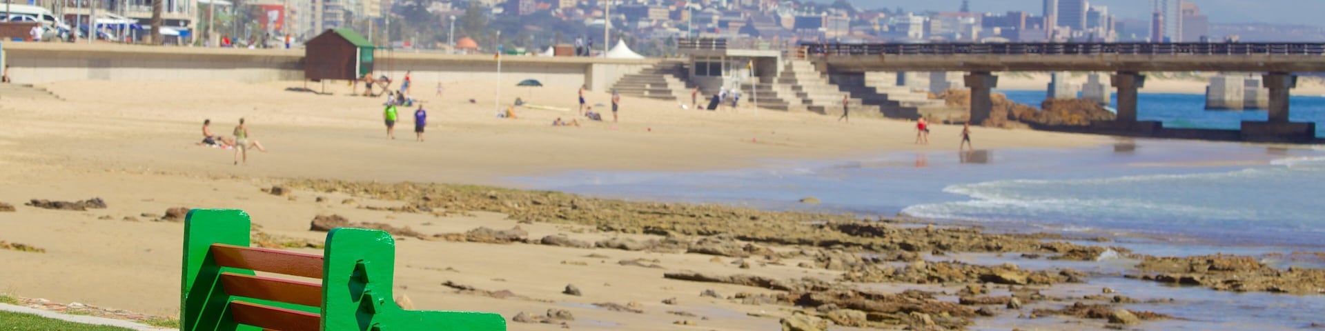 A beach with a green bench, rocky shoreline, and a cityscape in the background.