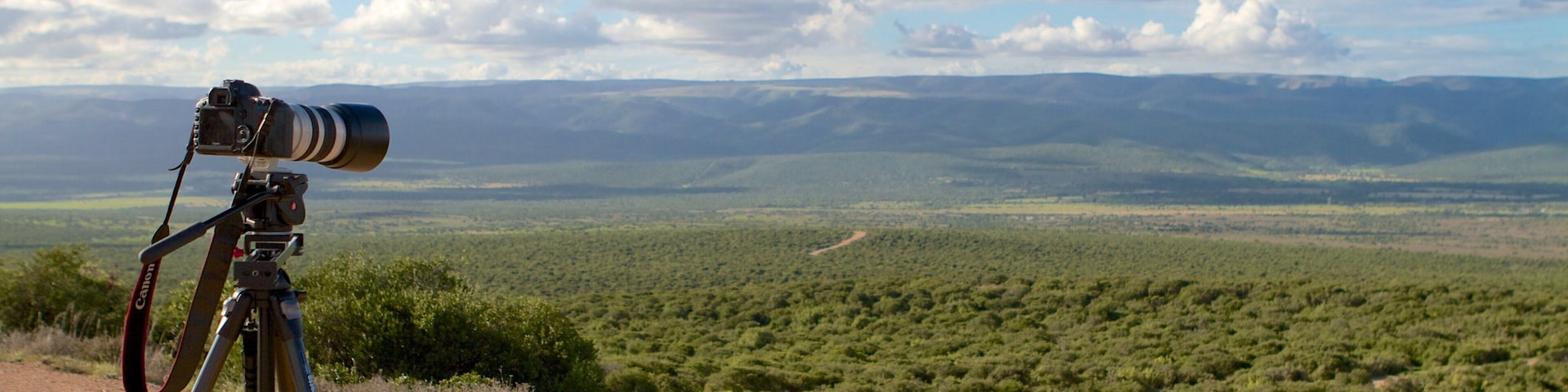 Addo Elephant National Park which includes tranquil scenes and landscape views