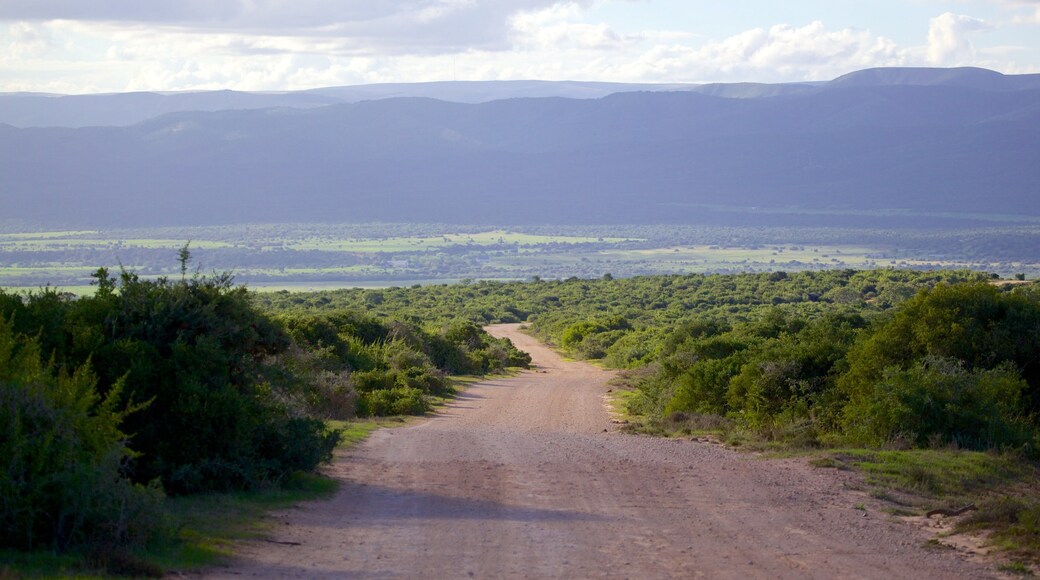 Addo Elephant National Park which includes landscape views