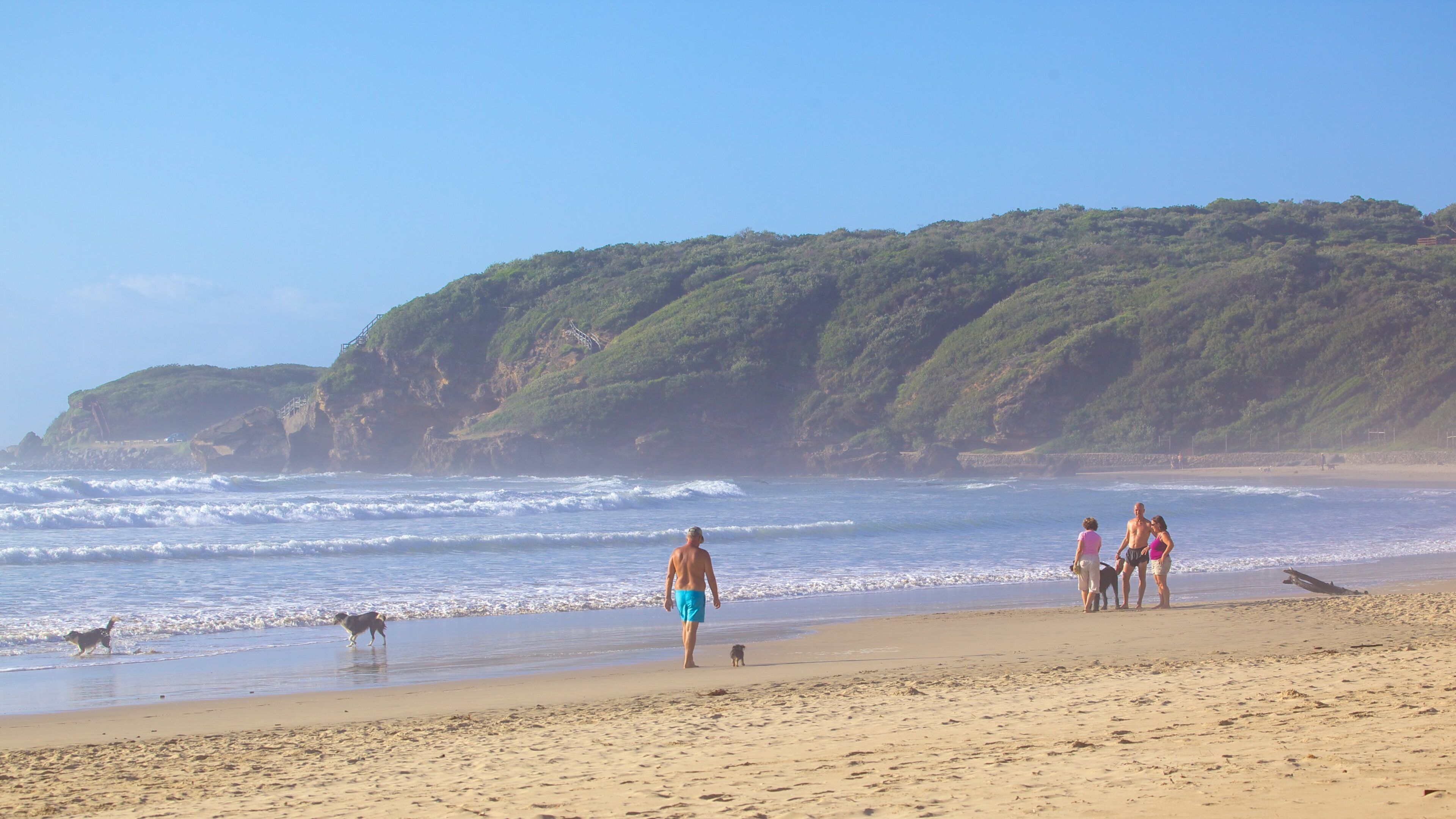 Nahoon Beach welches beinhaltet Landschaften, Sandstrand und allgemeine Küstenansicht