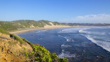 Paisagem costeira com praia de areia, falésias rochosas e ondas do oceano.