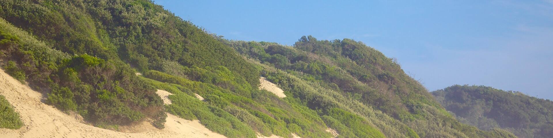 Nahoon Beach welches beinhaltet Surfen, allgemeine KĂŒstenansicht und Landschaften