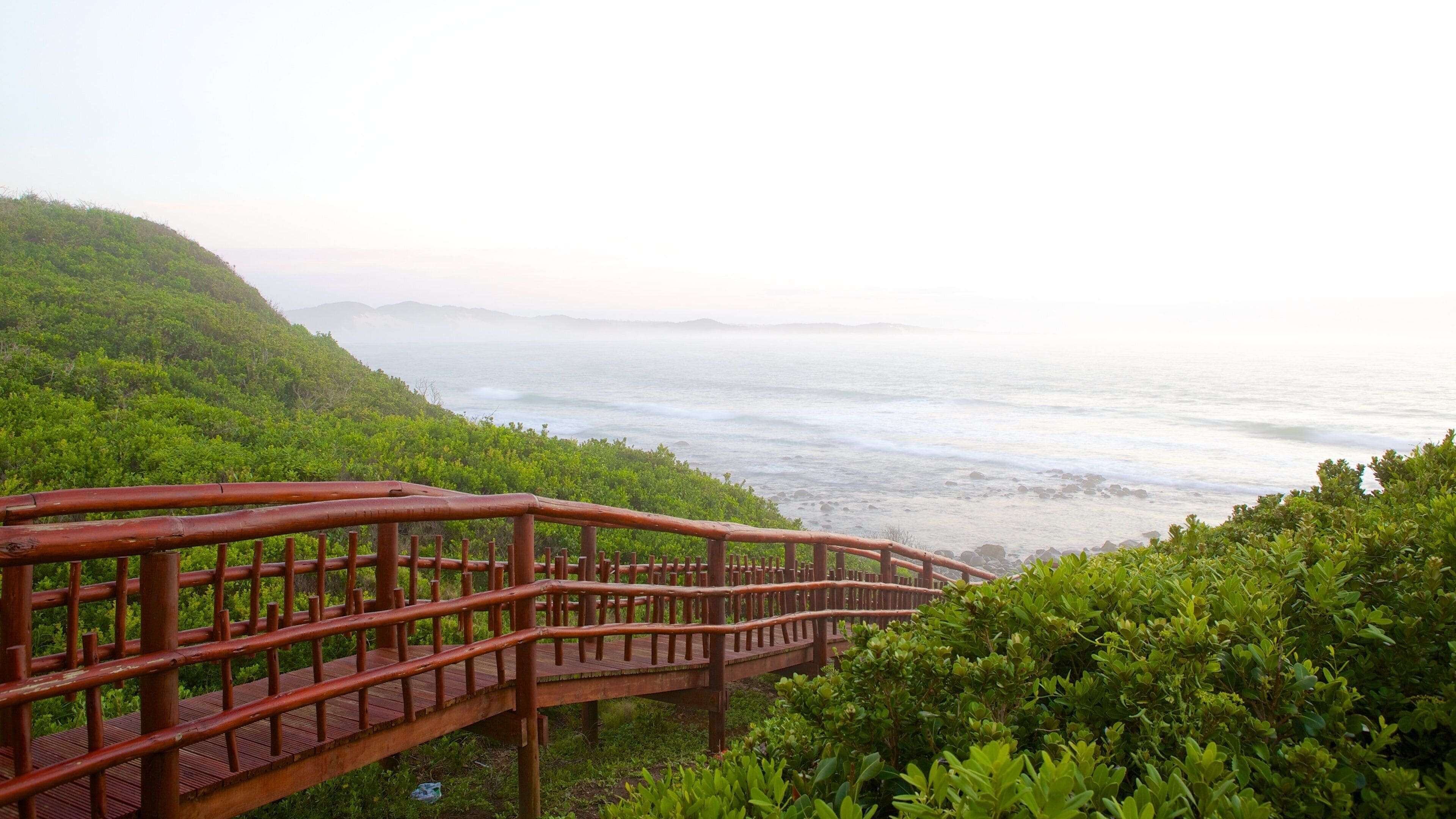 Playa de Nahoon ofreciendo vistas generales de la costa
