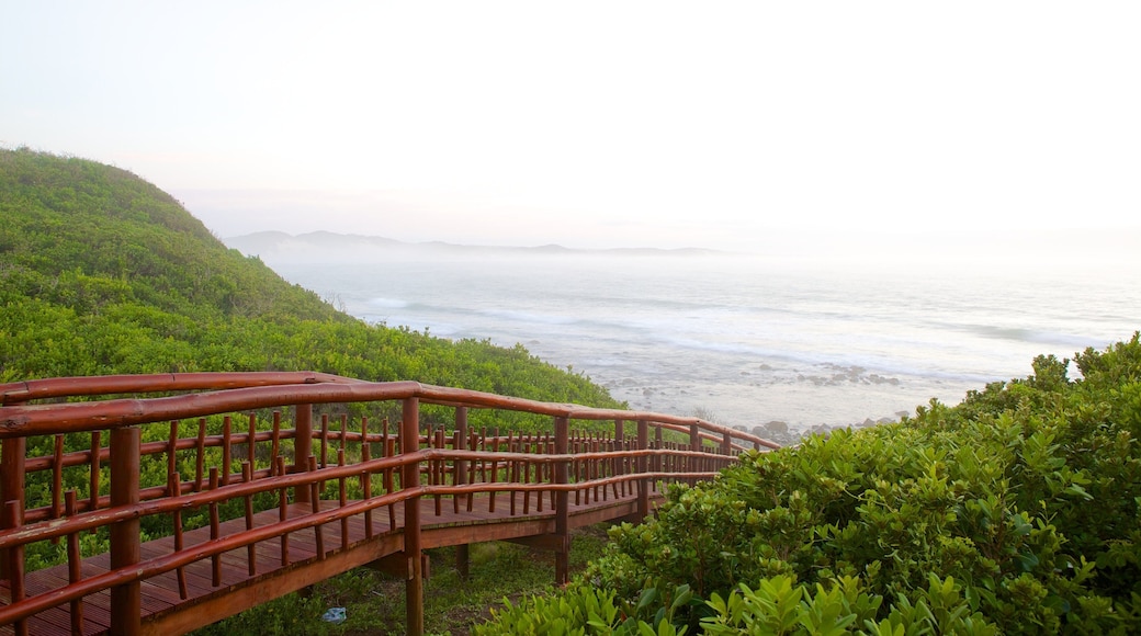 Playa de Nahoon ofreciendo vistas generales de la costa