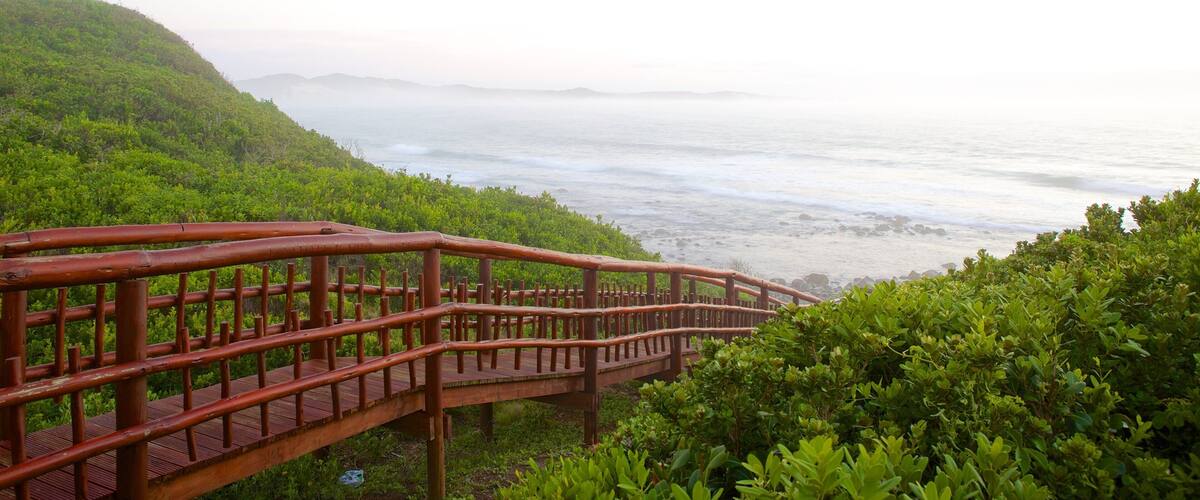 A wooden bridge over a coastal area with lush greenery and a view of the ocean.