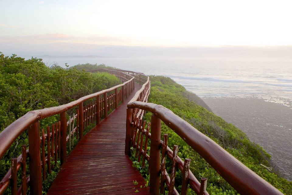 Um calçadão de madeira com grades, cercado por vegetação exuberante, que leva a uma praia.