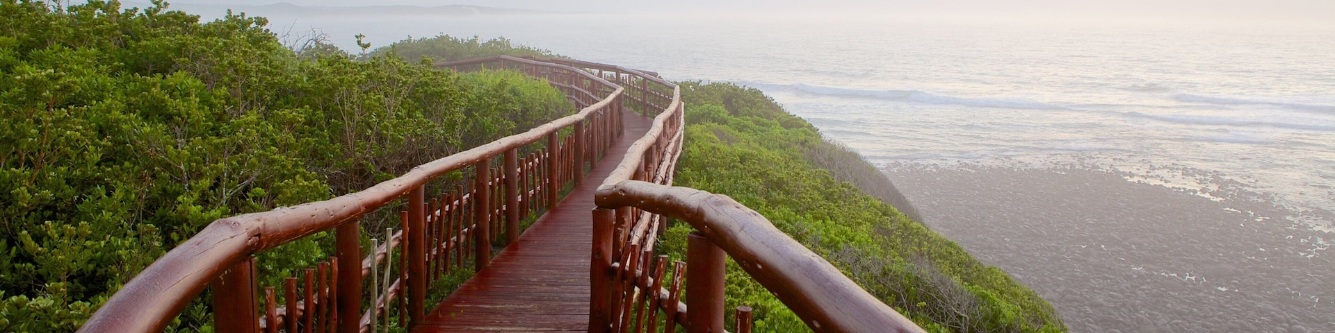 Nahoon Beach which includes general coastal views