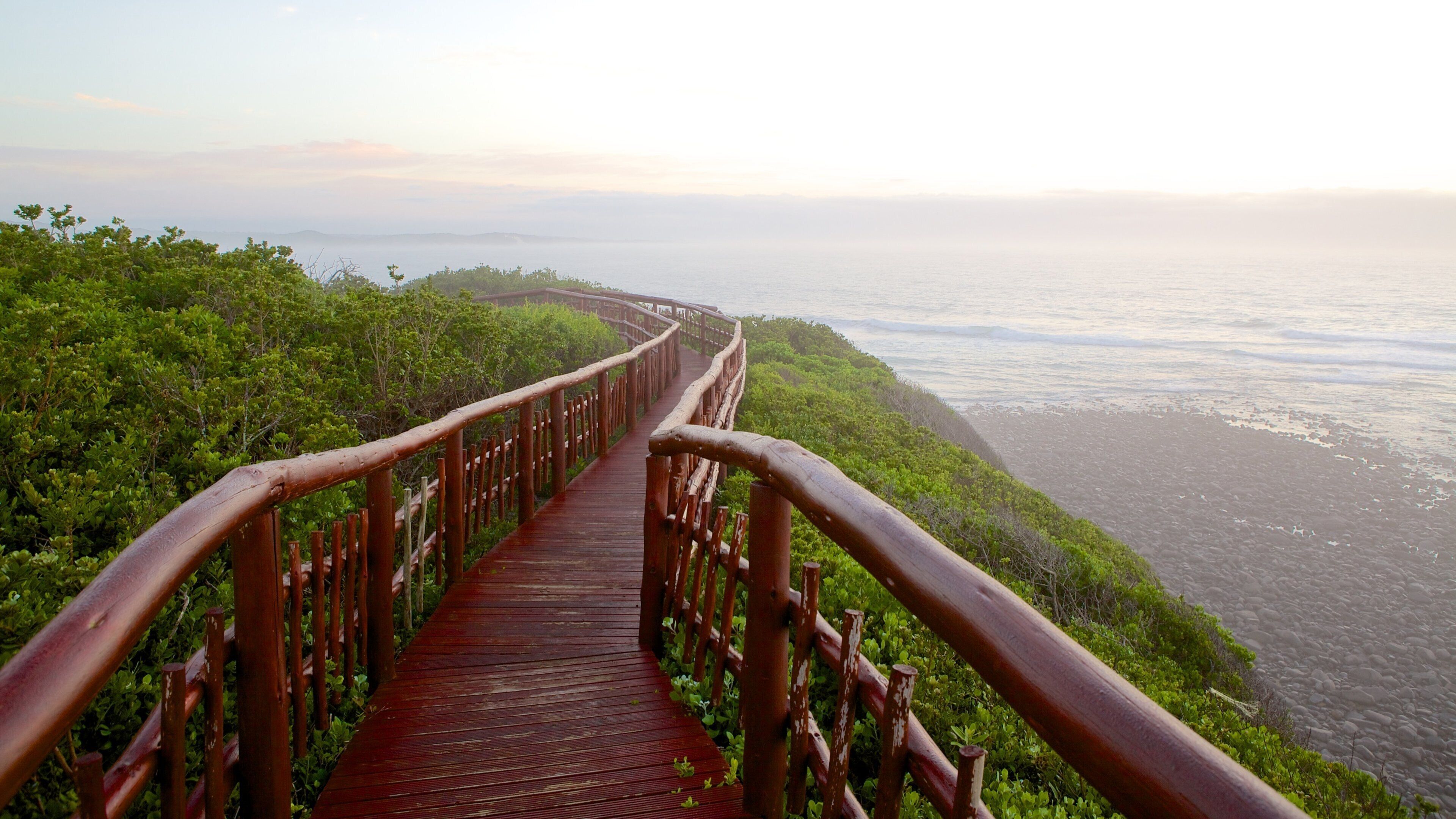 A wooden boardwalk with railings, surrounded by lush greenery, leading to a beach.