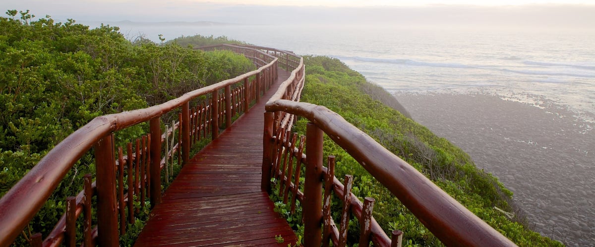 A wooden boardwalk with railings, surrounded by lush greenery, leading to a beach.