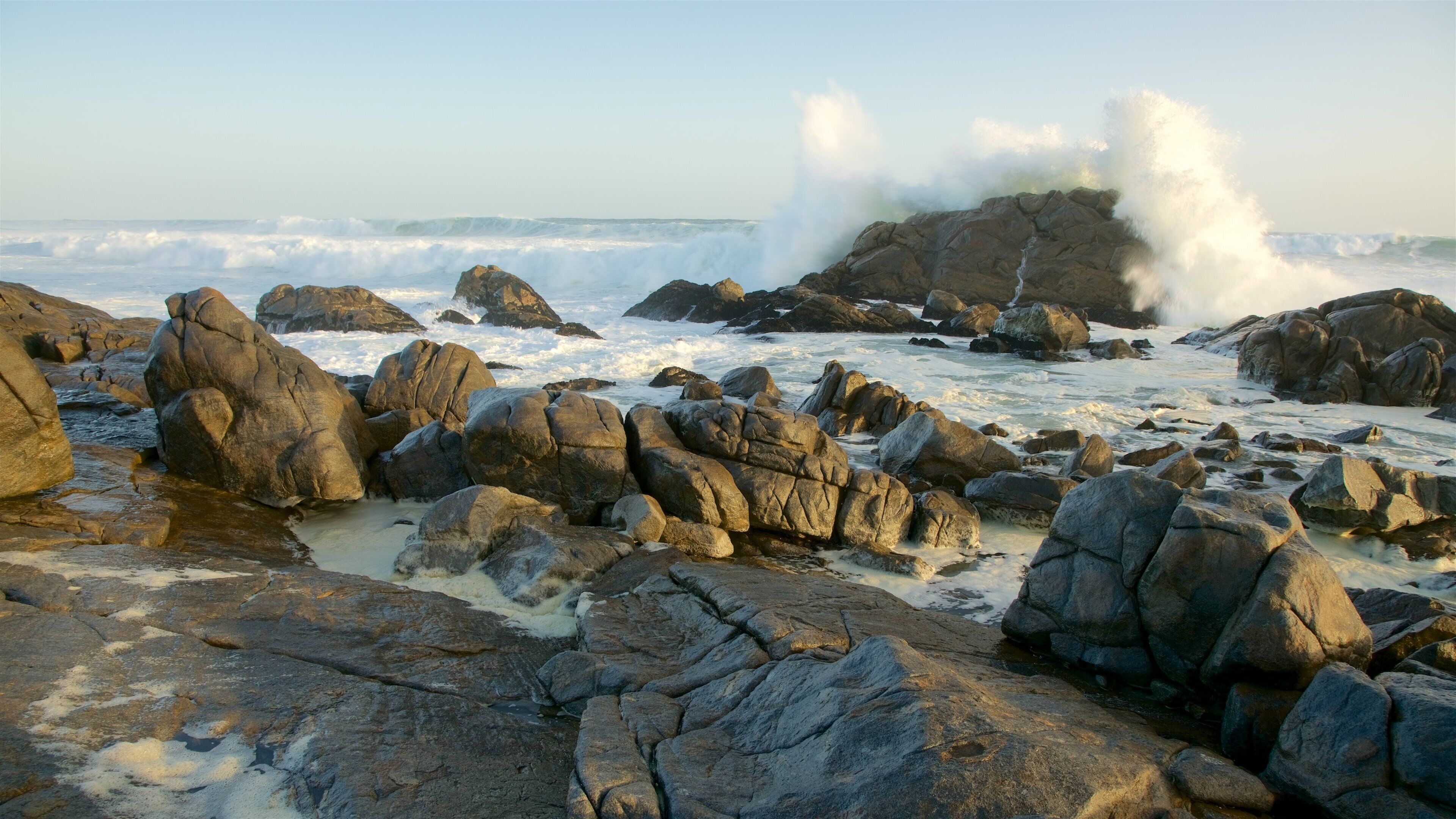 ウェスト コースト国立公園 フィーチャー サーフィン と 荒々しい海岸線