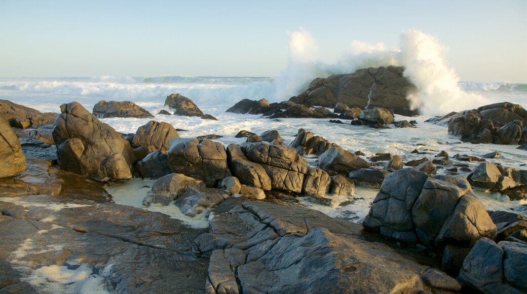 ウェスト コースト国立公園 フィーチャー サーフィン と 荒々しい海岸線