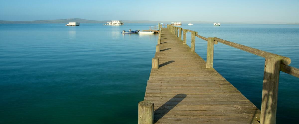 West Coast National Park showing surf
