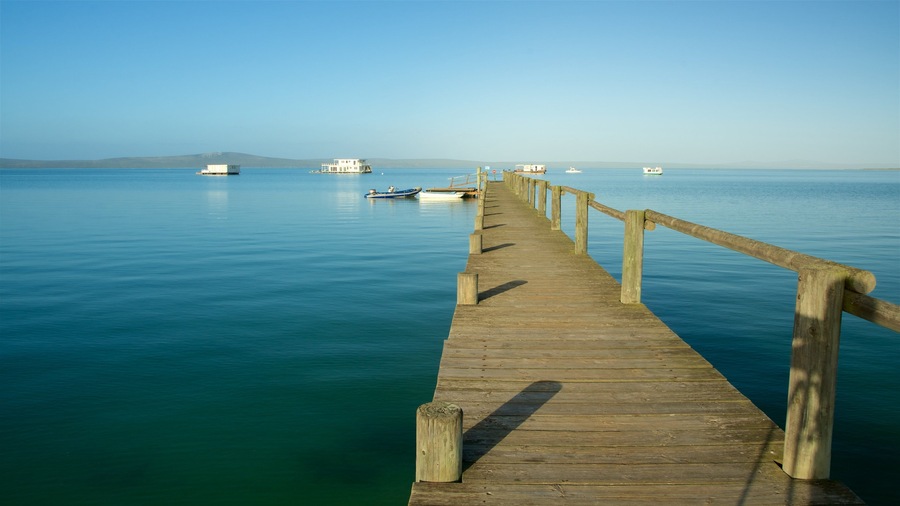 West Coast National Park showing waves