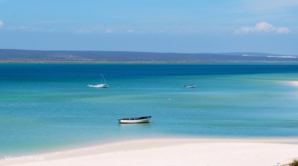 Langebaan’s Shark Bay Lagoon:
Located just an hour and half north of Cape Town is the quaint beach town of Langebaan. This town is a great getaway for watersport fanatics and nature lovers (West Coast #NationalPark). Just outside of town is a picturesque blue lagoon that provides visitors clear blue warm waters.
We would recommend a two night stay in this area. There are countless self catering units available for rent. The views of the West Coast from the National park are spectacular and worth having a “braai” or bbq near the beach. The park is also known for its spring flower season (August/September) when the wild flowers are in bloom.
Insider Tip: If you are interested in learning the sport of Kiteboarding (also known as Kitesurfing) Langebann is the place to do it! There are numerous Kiteboarding schools in town that take students to the shallow, sandy bottom lagoon for an easier beginner experience. #beachbound