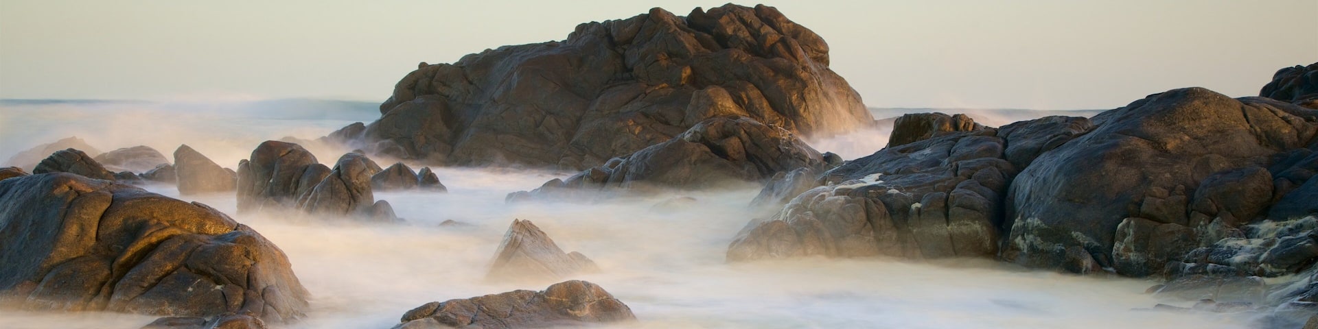 West Coast National Park which includes mist or fog