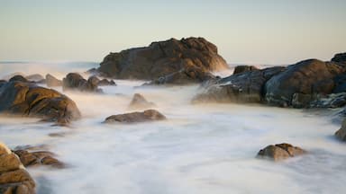 West Coast National Park