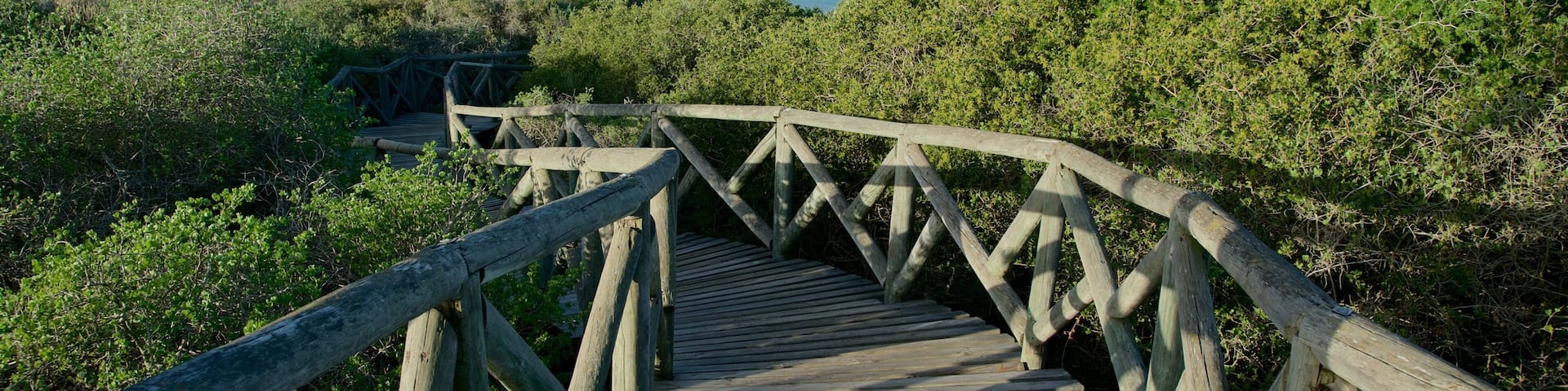 A wooden boardwalk leading to a pier over calm water with boats.