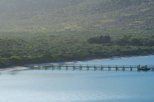 A coastal landscape with a wooden pier extending into the water, surrounded by lush greenery and hills.