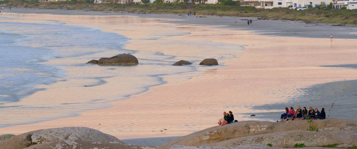 A beach with rocks and people. In the background, there are houses.