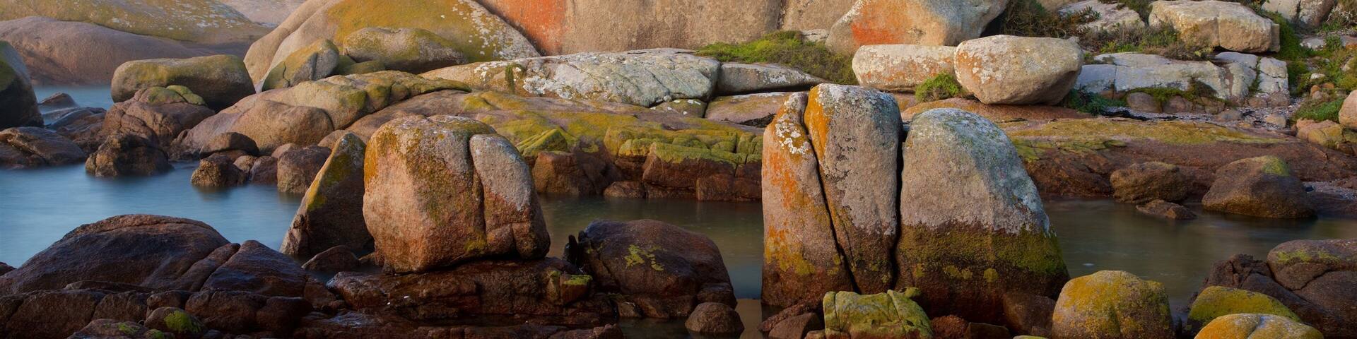 ケープ コロンバイン灯台