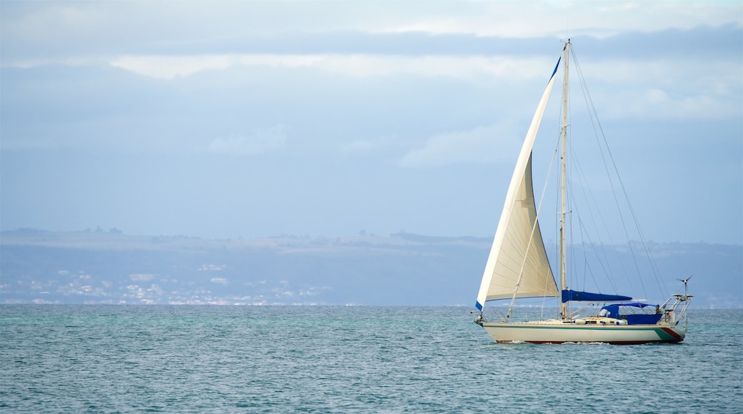 Santos Beach som inkluderer båter og kyst