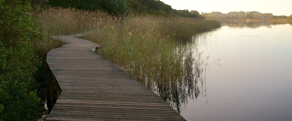 Wilderness National Park showing a lake or waterhole, a sunset and wetlands