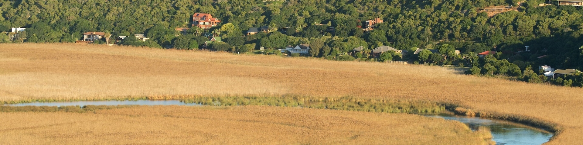 Wilderness National Park que inclui um parque e um rio ou córrego