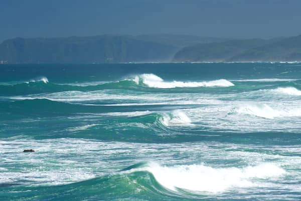 Goukamma Nature and Marine Reserve montrant vues littorales et vagues