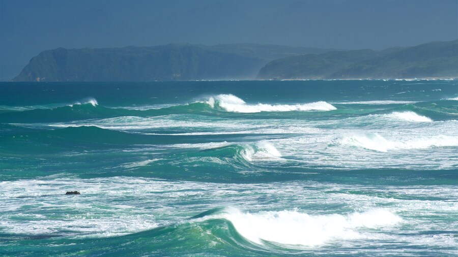 Goukamma Nature and Marine Reserve showing waves and general coastal views