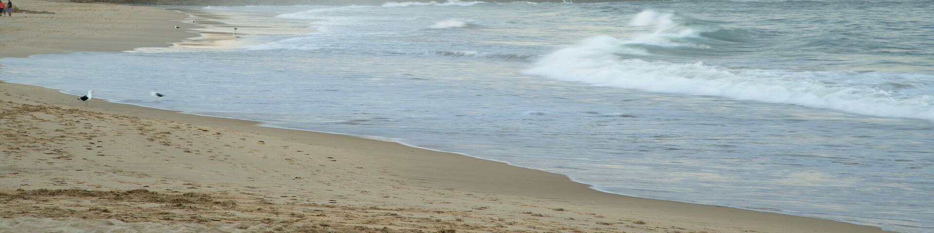 Plage de Plettenberg Bay qui includes panoramas et plage de sable