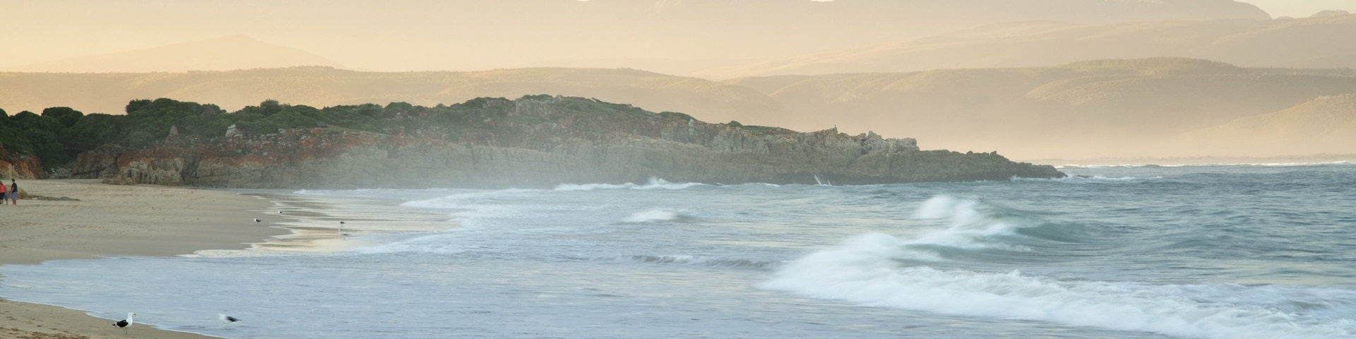 Praia da Baía Plettenberg mostrando uma praia de areia e paisagem