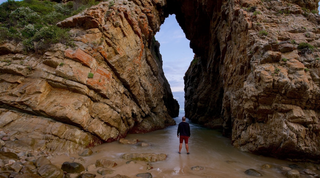Arch Rock og byder på barsk kystlinje såvel som en mand