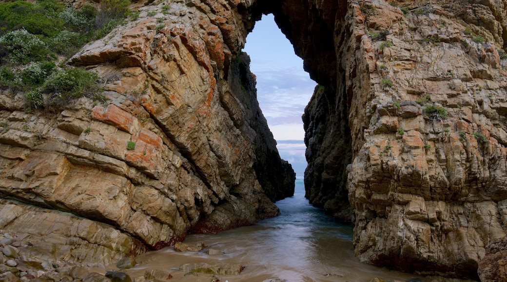 Arch Rock Beach showing rocky coastline