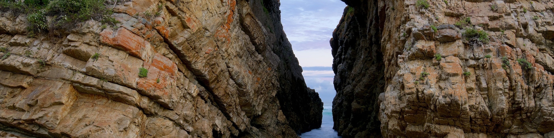 Arch Rock Beach showing rocky coastline