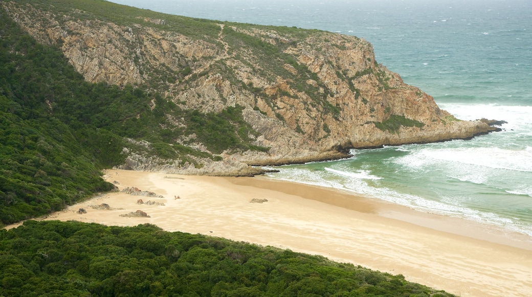 Natures Valley Beach showing a beach, rugged coastline and general coastal views