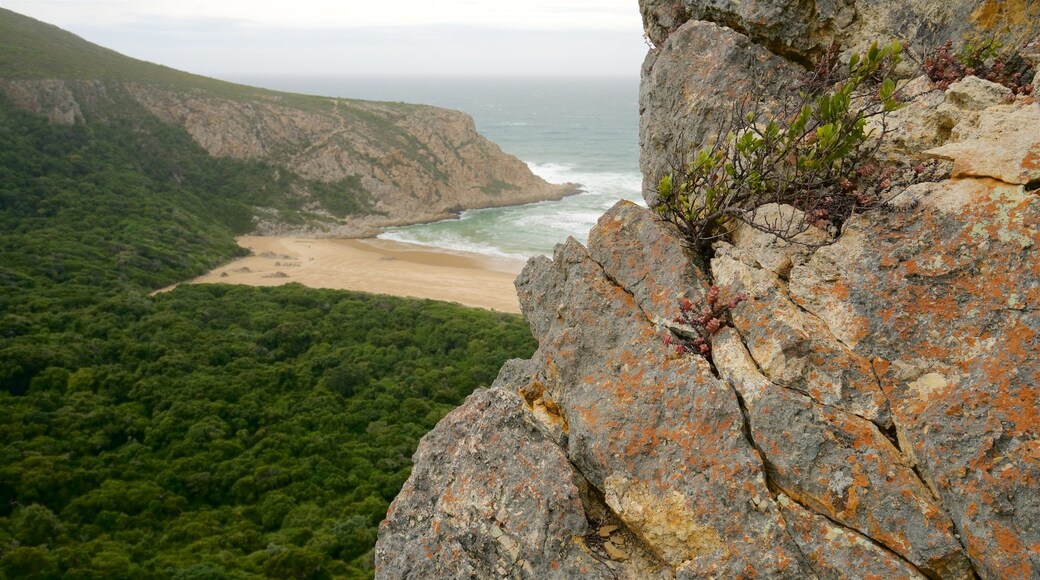Natures Valley strand som inkluderer kyst, landskap og stenete kystlinje