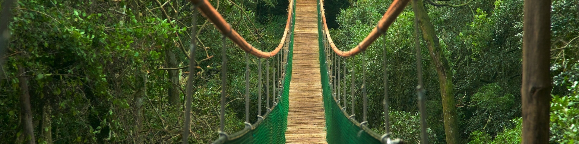 Monkeyland mostrando uma ponte e cenas de floresta