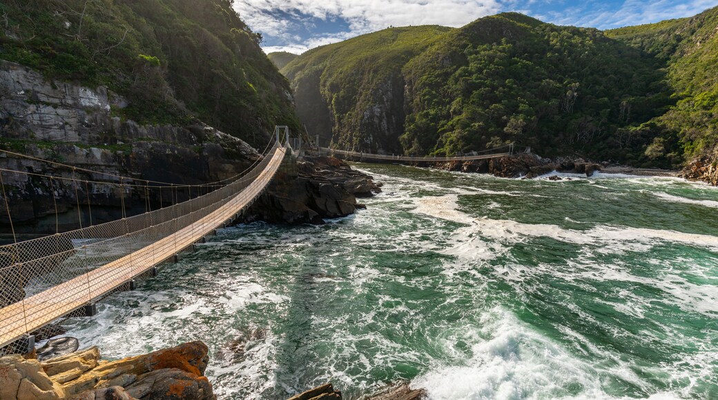 A suspension bridge over the storms river mouth in south africa