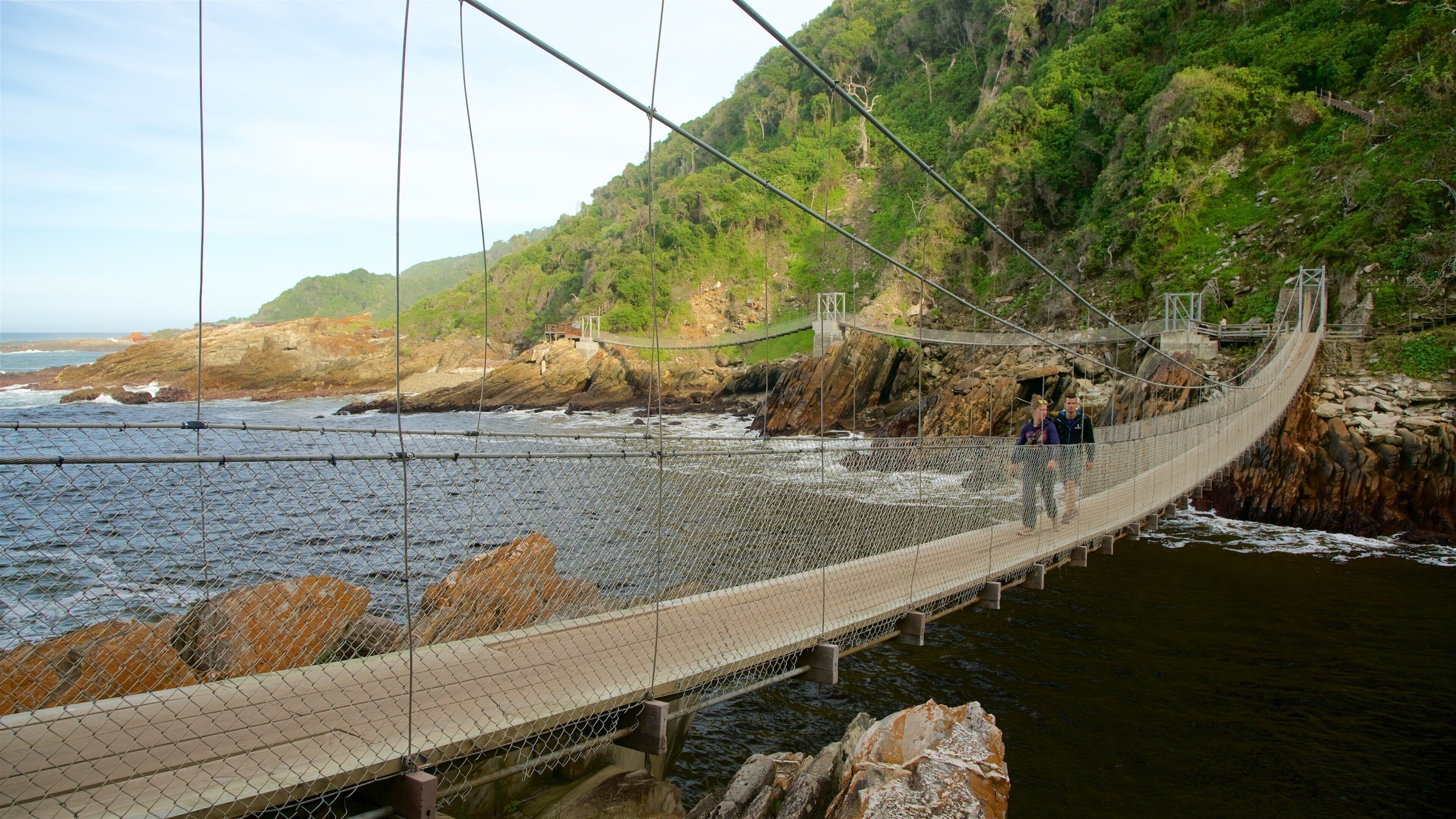 Parc national de Tsitsikamma