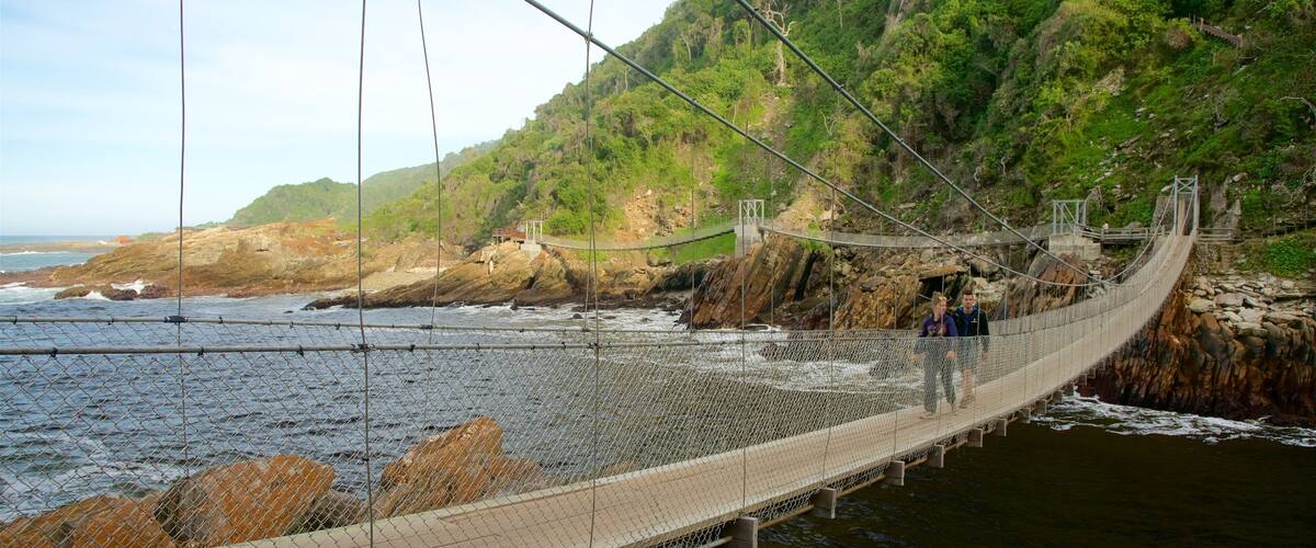 Tsitsikamma National Park showing a bridge