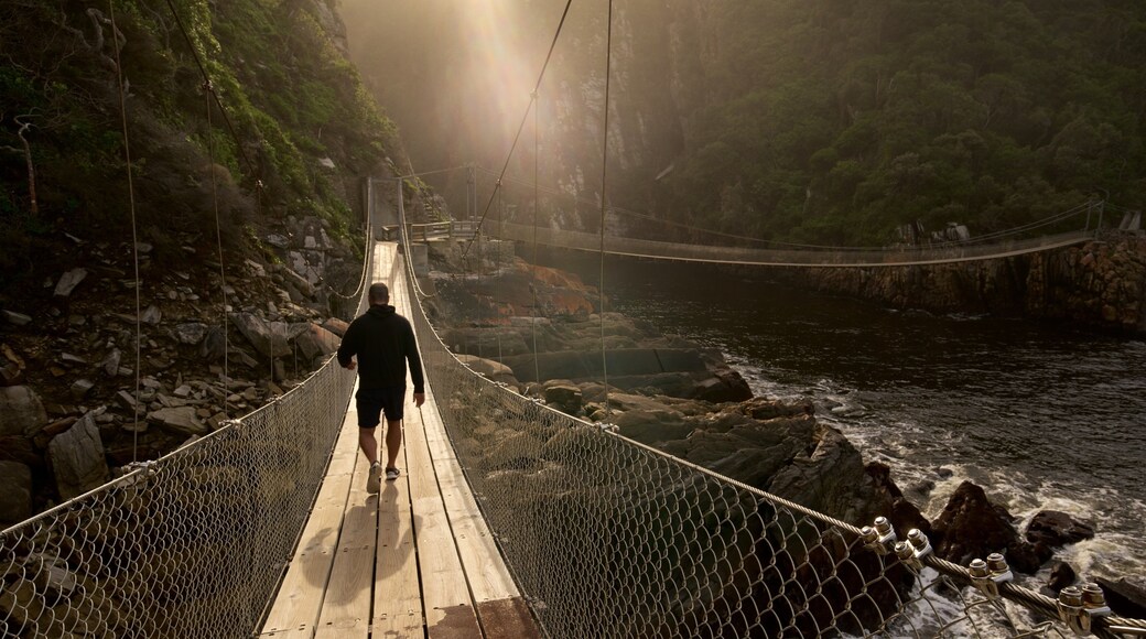 Công viên Quốc gia Tsitsikamma trong đó bao gồm cầu cũng như đàn ông