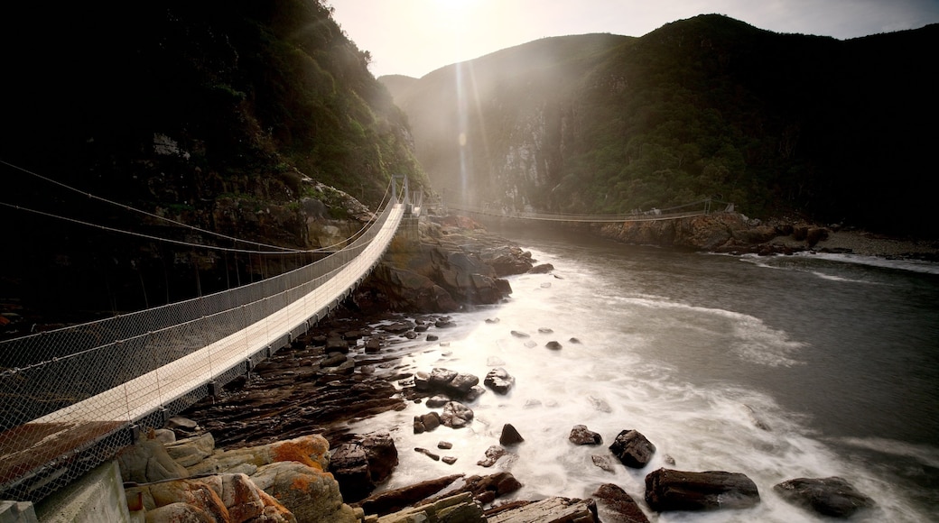 Tsitsikamma National Park featuring a bridge and a river or creek