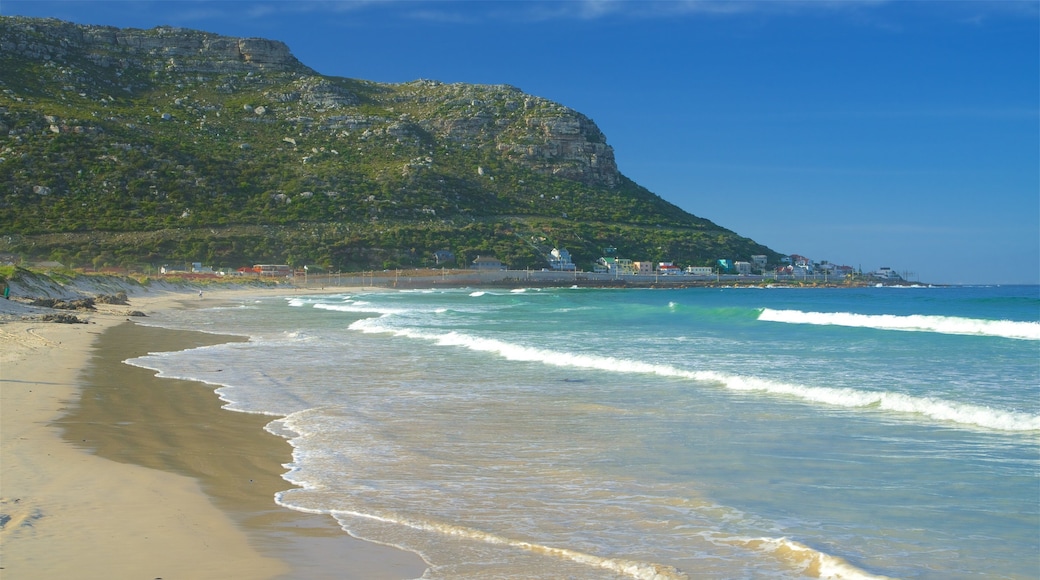 漁人海灘 其中包括 海灘